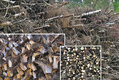 tiedote_2009_08_table_1