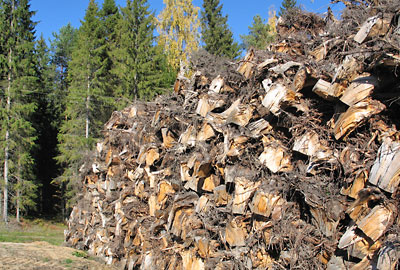 tiedote_2009_10_table_1