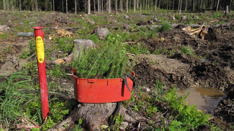 750x420_uutinen_netti_uudistuu