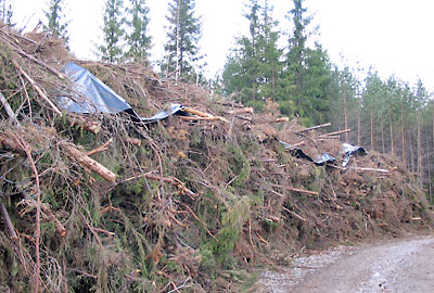 tiedote_2009_15_table_1