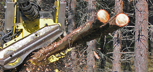 tiedote_2010_02_product