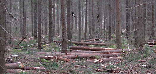 tiedote_2010_05_product