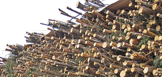 tiedote_2010_08_product