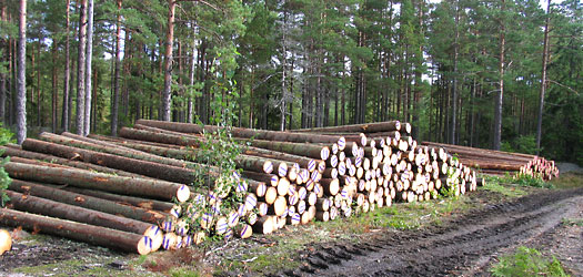 tiedote_2010_10_product