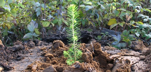 tiedote_2012_04_product