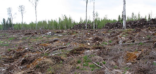 tiedote_2014_04_product