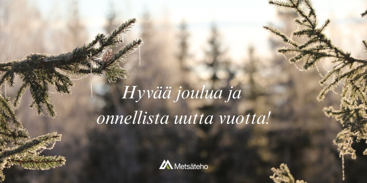 Kuvassa on kuuraiset kuusenoksat ja teksti "Hyvää joulua ja onnellista uutta vuotta!"