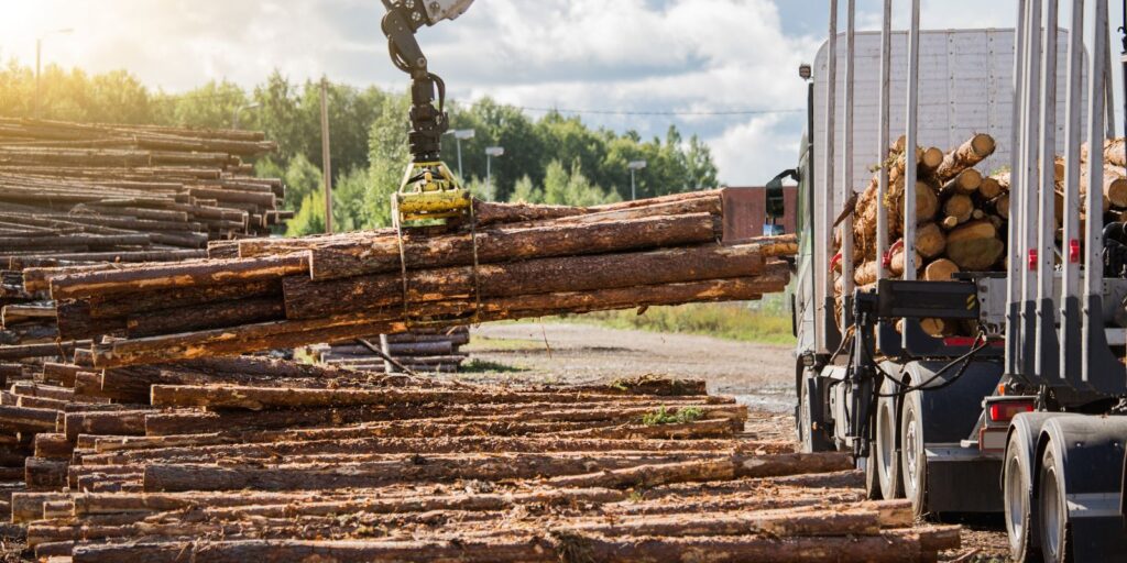 puutavaraa lastataan