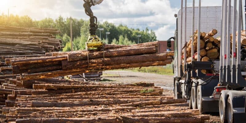 puutavaraa lastataan