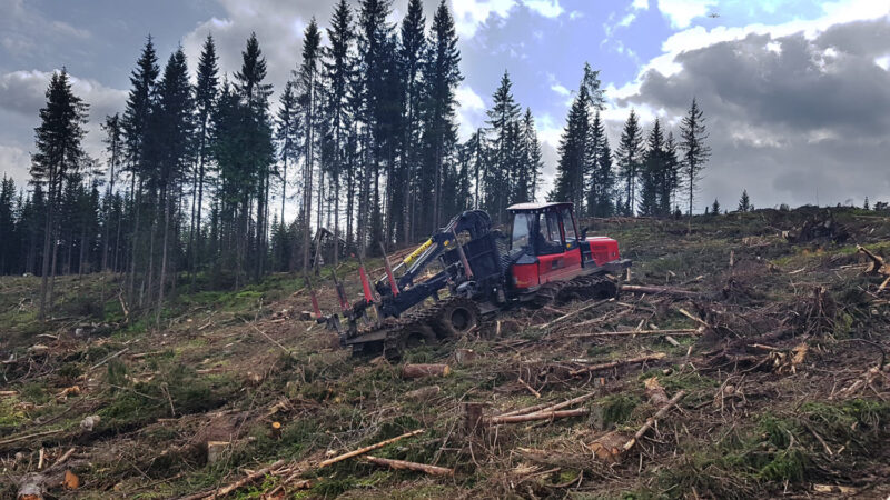 Kuormatraktori hakkuulla.