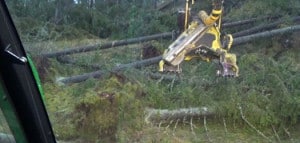 Tuloskalvosarja 12/2015