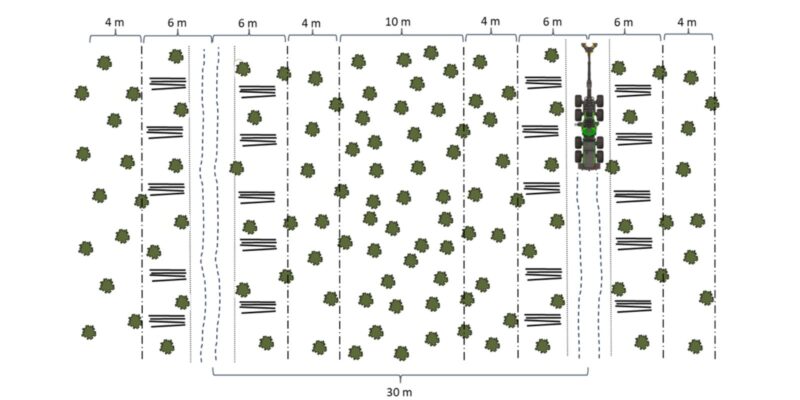 vyöhykeharvennus piirrokseen mallinnettuna