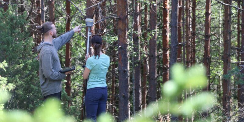 Henkilöt mittaavat metsässä