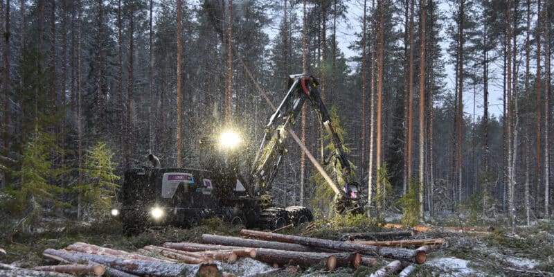 Puunkorjuu käynnissä hämärässä metsässä