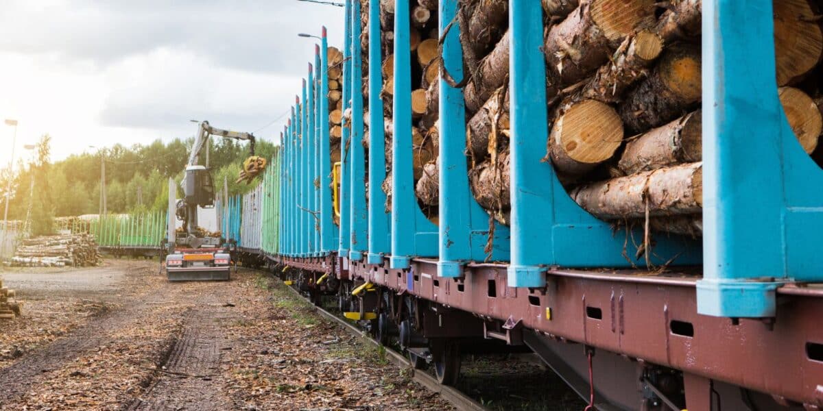 puutavaraa junavaunussa