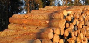 Tuloskalvosarja 6/2015