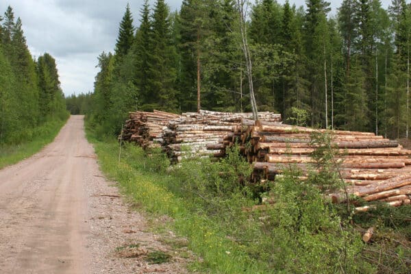 Yksityistie, jonka varrella on puutavarapino